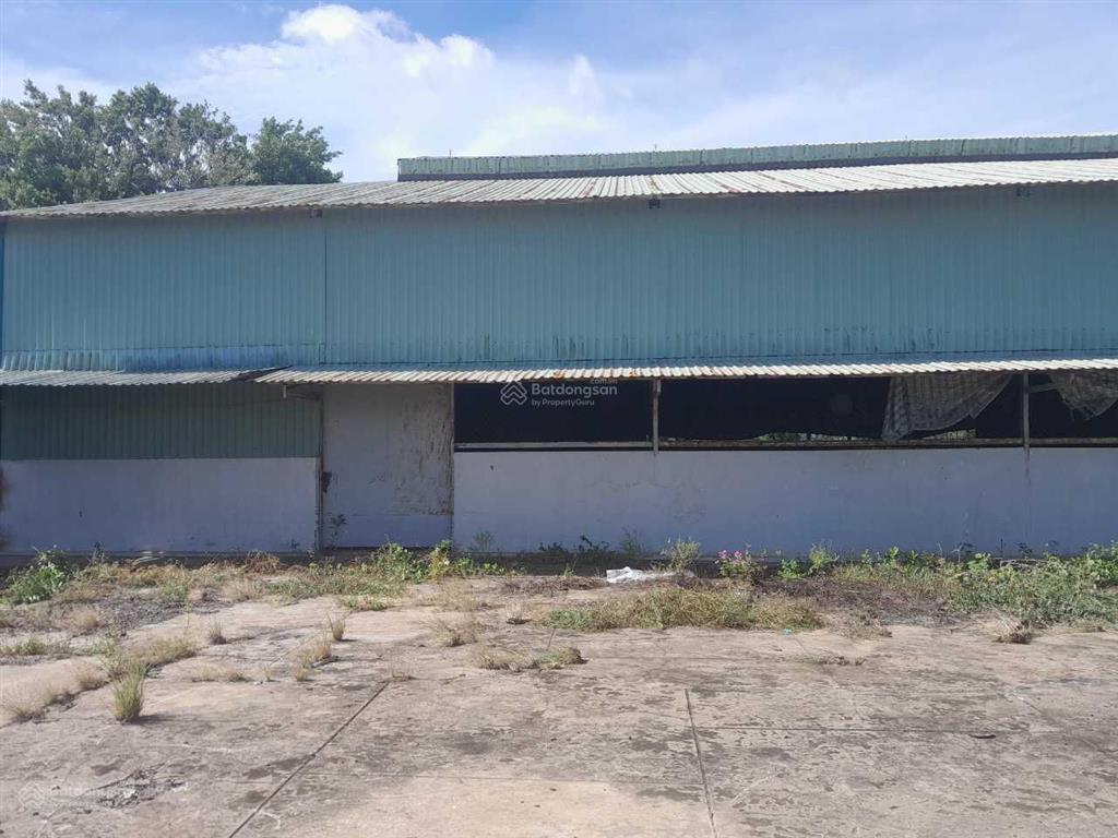 Cần bán gấp!!! nhà xưởng mặt tiền dt lớn 12550m2 quốc lộ 62, huyện thủ thừa, tỉnh long an