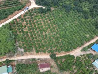 500m2  2 mặt tiền  cách chợ đêm đl chỉ 19 km view 360*