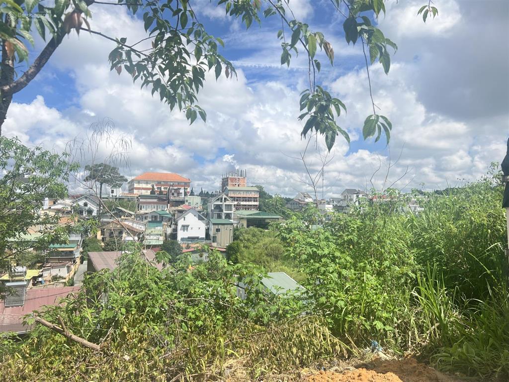 406.47m2 đất biệt thự mặt tiền phường 8, đà lạt gần trường đại học, 14 tỷ