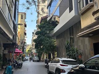 Mảnh đất ngõ phân lô 165 thái hà ô tô tránh vỉa hè xây cao tầng 110m2 mặt tiền gần 8m 42 tỷ