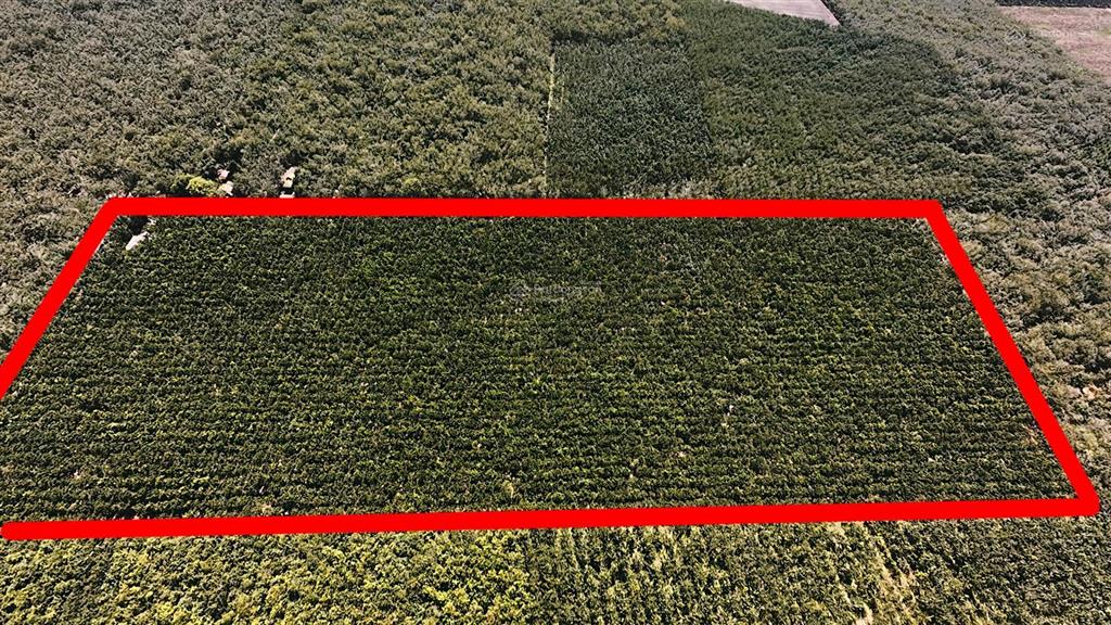 Bán 10ha đất suối ngô, tây ninh pháp lý skc, mặt tiền đường nhựa lớn