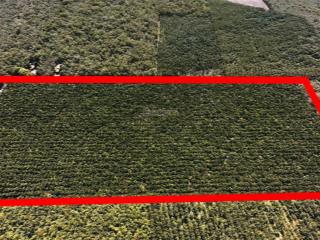Bán 10ha đất suối ngô, tây ninh pháp lý skc, mặt tiền đường nhựa lớn