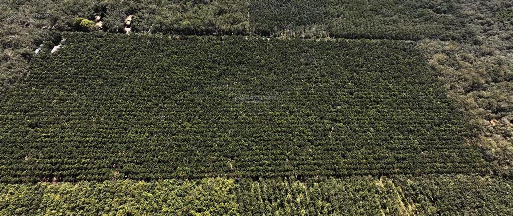 Bán 10ha đất suối ngô, tây ninh pháp lý skc, mặt tiền đường nhựa lớn