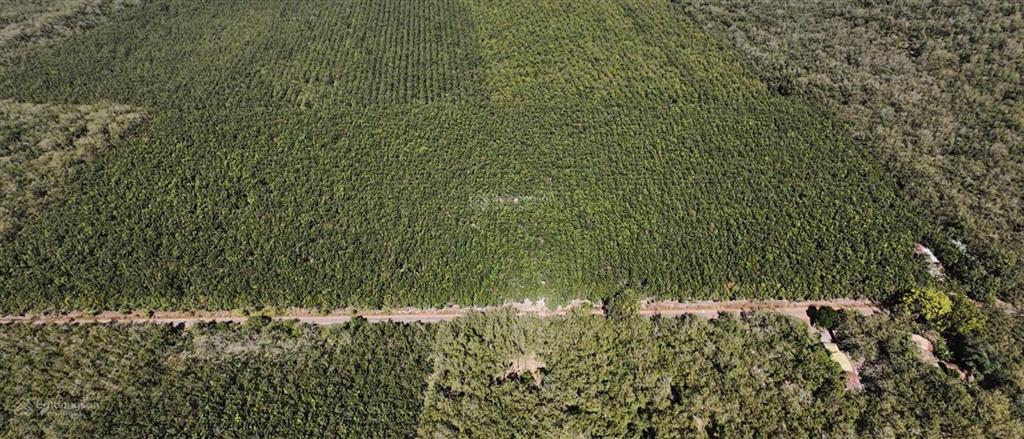 Bán 10ha đất suối ngô, tây ninh pháp lý skc, mặt tiền đường nhựa lớn