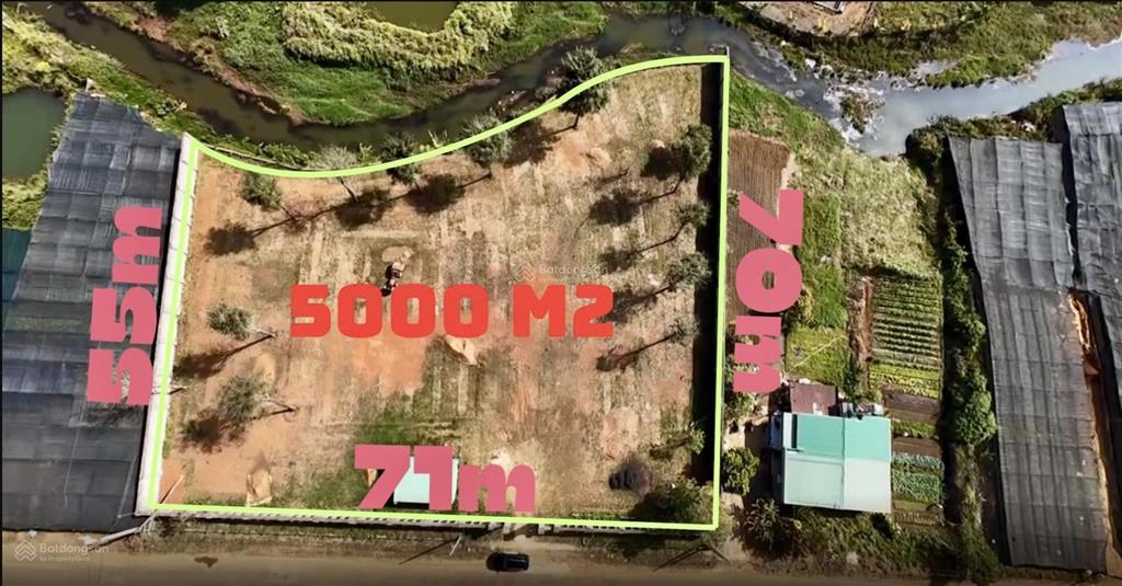 Bán hoặc cho thuê lô đất nghỉ dưỡng 5.000m2 tại nam phương city tp. bảo lộc