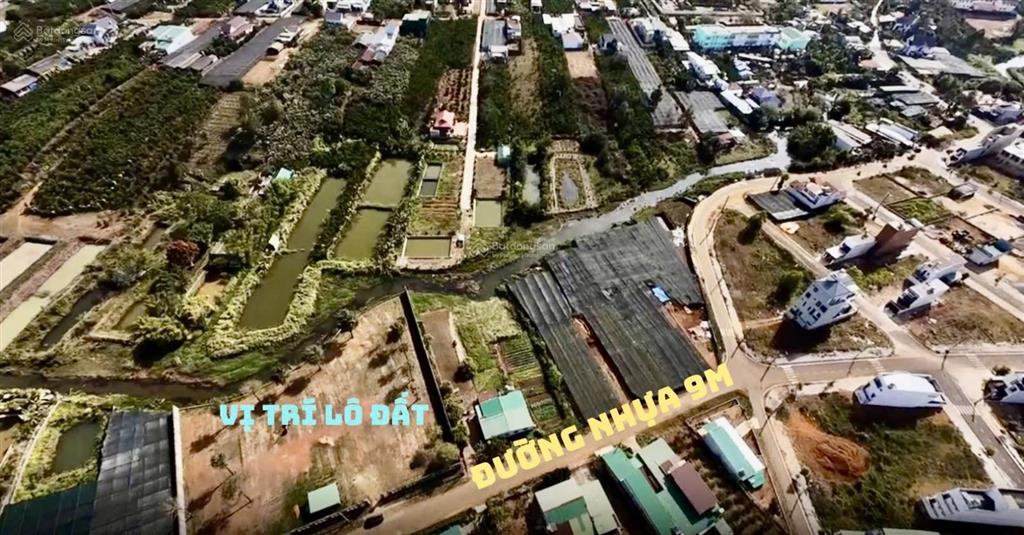 Bán hoặc cho thuê lô đất nghỉ dưỡng 5.000m2 tại nam phương city tp. bảo lộc