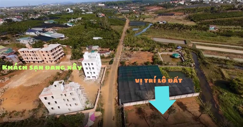 Bán hoặc cho thuê lô đất nghỉ dưỡng 5.000m2 tại nam phương city tp. bảo lộc