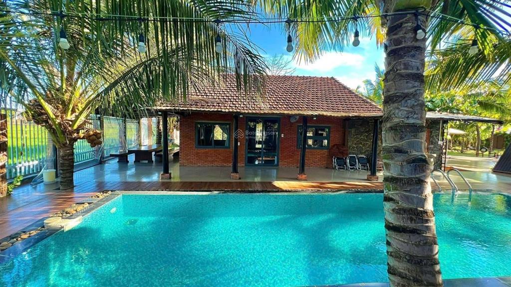 Bán homestay đang kinh doanh ổn định view cánh đồng cực đẹp, cách tp. bmt 8km