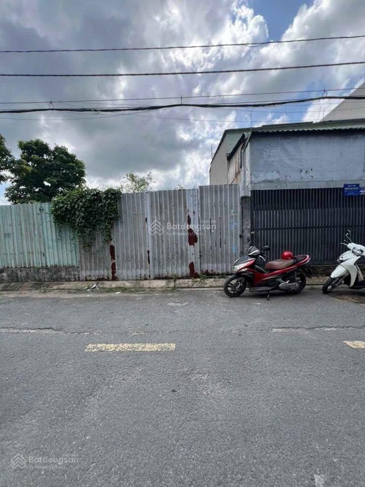 Chính chủ bán đất 195m2, shr tại lê lợi, xã tân phú trung, củ chi, đường nhựa 8m, giá chỉ 1.6 tỷ.