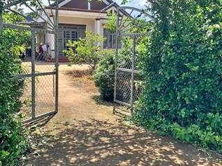 Bán nhà vườn tại nguyễn thị rành, 560m2, có shr, hiện đã có nhà và trồng cây ăn trái, chỉ 700 triệu