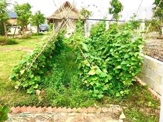 Chủ cần bán gấp 700m2 nhà vườn ubnd trảng bàng, shr, ngay chợ trảng bàng, chỉ 950tr