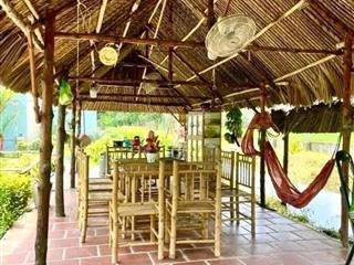 Chú 3 cần bán 650m2 (đất ở đô thị ) view sông, ngay chợ trảng bàng, shr, đường nhựa, gía chỉ 1.4 tỷ