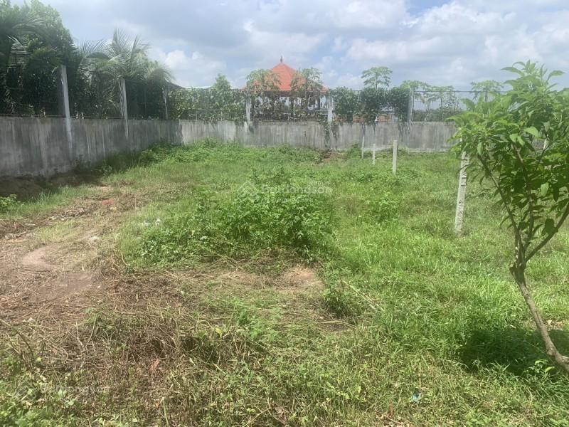 Chính chủ bán gấp lô đất mặt tiền kinh doanh ngã 3 cây trôm, 110.9m2 có thổ cư, shr, giá chỉ 900 tr