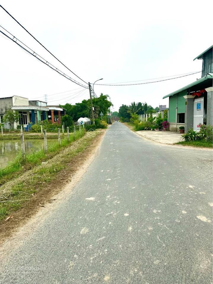 Bán đất gần chợ việt kiều, tân thông hội, củ chi, 124m2 sổ hồng riêng, đường nhựa, giá chỉ 1,4 tỷ
