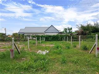 Bán đất gần chợ việt kiều, tân thông hội, củ chi, 124m2 sổ hồng riêng, đường nhựa, giá chỉ 1,4 tỷ