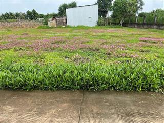 Chủ ngộp cần bán gấp lô đất đường ô tô, xã long an, dt 300m2 thổ cư, giá ngộp 1.6 tỷ tl, shr
