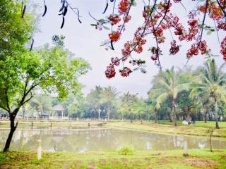 Bán nhà phố park riverside 75m2 đầy đủ nội thất 9.8 tỷ   0931 769 ***