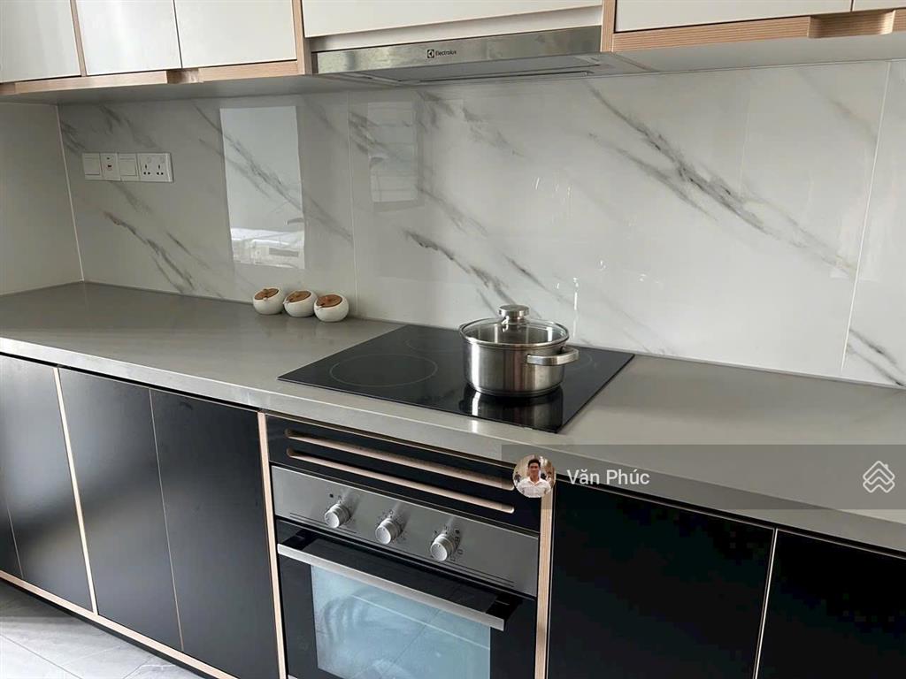 Bán căn hộ zenity q1 3pn căn góc tầng cao 113m2 shr