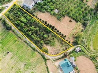 Chính chủ gửi bán mảnh đất 1370m2, 200m2 thổ cư, 3 mặt tiền ở thị trấn mãn đức, tân lạc, hoà bình