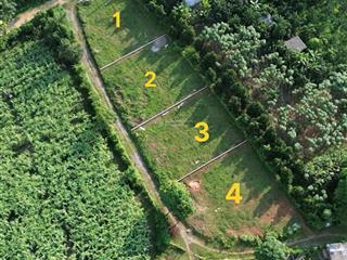 Bán đất 2 mặt tiền ở thị trấn mãn đức, tân lạc, hoà bình diện tích 350m2, 50m2 thổ cư