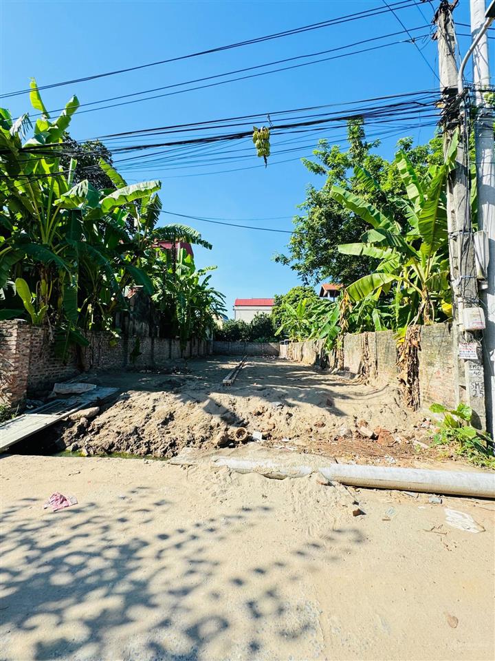 Cần bán 213m2 trục chính đường nhựa apphan mặt tiền 8m