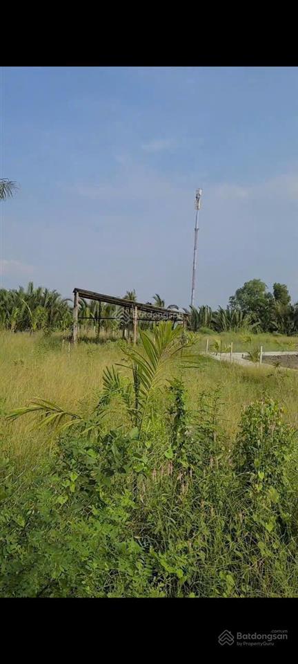Bán đất nhà vườn nghỉ dưỡng tại cần giuộc, long an