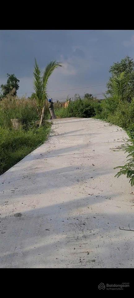 Bán đất nhà vườn nghỉ dưỡng tại cần giuộc, long an