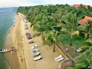 Bán đất xây khách sạn mặt tiền đuờng phó đức chính, bãi sau, hcm vị trí đẹp