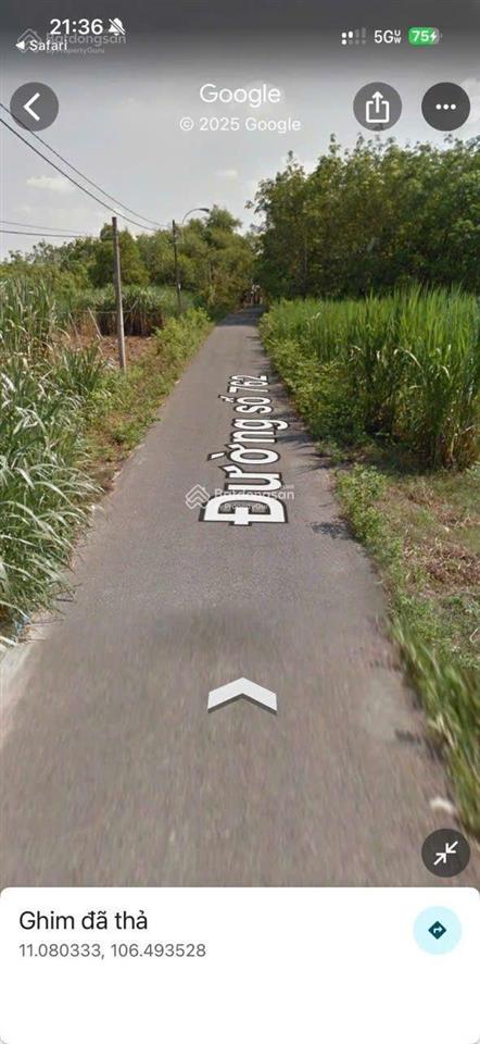 Bán đất tại đường cây gõ, xã an nhơn tây, củ chi, hồ chí minh, giá cực chất 4,7 tỷ, 115m2