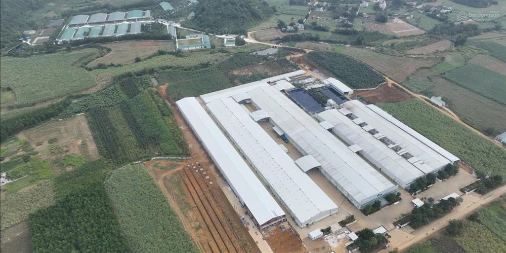 Chính chủ cắt lỗ lô đất ngay sát đường liên xã, đón sóng khu công nghiệp 140ha