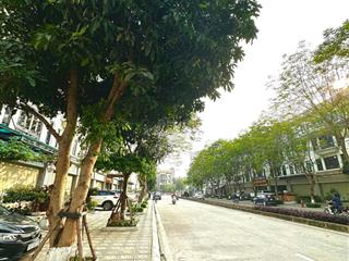 Giảm giá cực sốc, lk geleximco 80m2, giá chỉ 17.09 tỷ,  0941 251 ***