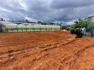 Kẹt tiền cần bán gấp lô đất 1635m2 được chuyển full xây dựng, tương đương chưa tới 10 triệu/ m2