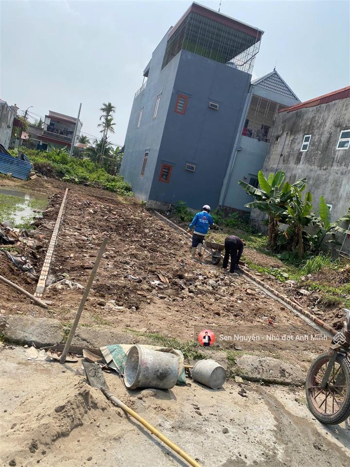 Nhánh 2 bùi phổ, tân thành, siêu đẹp