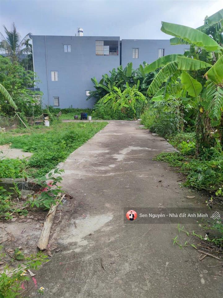  lô đất đẹp không quy hoạch tại hoà nghĩa  chỉ 8xx triệu