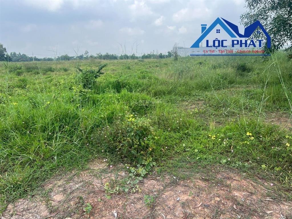 Bán đất xây dựng nhà xưởng 18.300m2 giá chỉ 90 tỷ. kcn trảng bomđồng nai 0375 854 ***