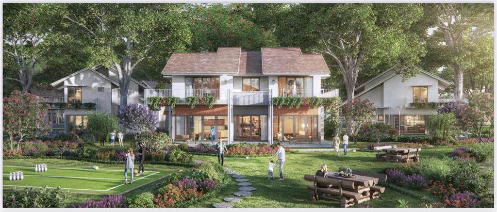 Biệt thự rừng song lập vốn chỉ 4 tỉ, không trả gốc lãi trong 2 năm, chiết khấu lên đến 11.5%, 16 tỉ