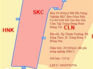 Bán 29000m2 Đất Phi Nông Nghiệp SKC Gồm Một Cơ Sở Giết Mổ Gia Súc Gia Cầm Tập Trung Đang