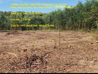 Chính Chủ Bán 16ha Đất 4 Mặt Tiền Tại Xã Tân Phúc, Huyện Hàm Tân, Bình Thuận. Giá Chỉ