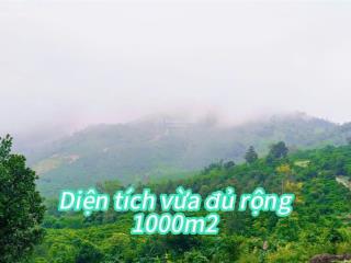 Với 1000 mét đất bạn xây dựng căn nhà gỗ retreat ở làng o...aaaa bảo lộc sổ sẵn công chứng ngay