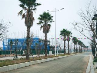 Chính chủ bán lô lk diện tích 100m2 tại centreville