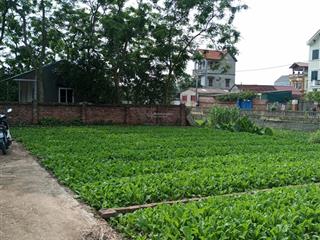 Bán mảnh đất vuông đẹp tại kiêu kỵ, gia lâm, diện tích 80m2, ô tô đỗ cổng, chỉ hơn 3 tỷ!