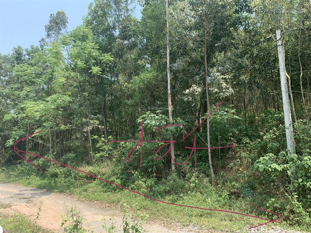 Bán lô đất 4ha tại vạn xuân, tam nông, phú thọ, giá 16.4 tỷ