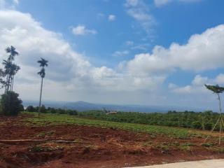 Đất view săn mây ven đà lạt giá tốt 680 triệu, 344 m2