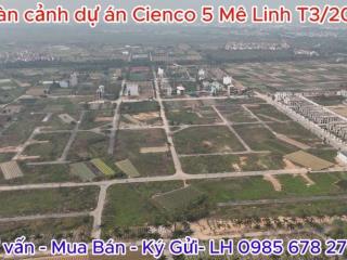 Bán liền kề, biệt thự sổ đỏ khu đô thị Cienco 5