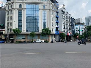 Cực hiếm! mặt phố mạc thái tông  lô góc  ngã tư  đẹp nhất phố  315m2  199 tỷ  mt 30m