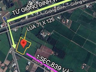 71x125m gần 1 mẫu lúa, phủ hồng, 1 sẹc 839, xe tải ngay trước đất, gần chợ đông thành, bv đa khoa