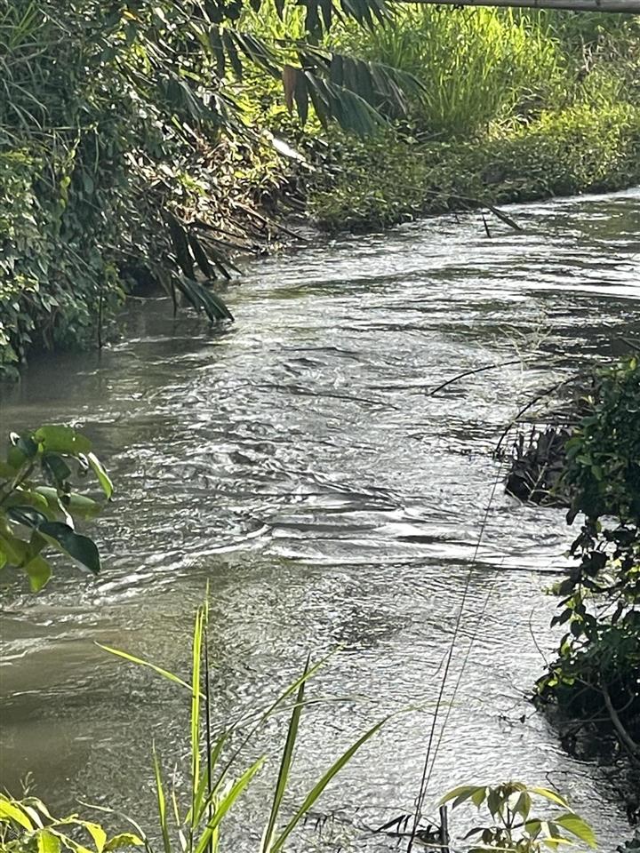 Cần bán 11000m2 đất xã hoà hội xuyên mộc vũng tàu có 150m2 thổ cư có 190m mặt tiền đường giá 6,5 tỷ