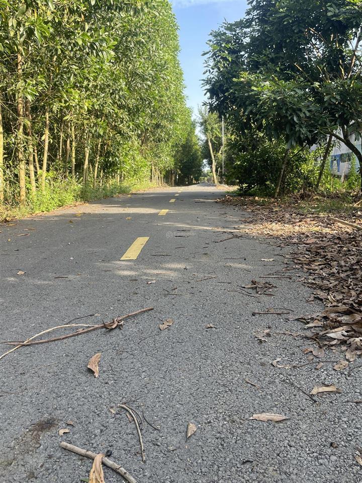 Cần bán 11000m2 đất xã hoà hội xuyên mộc vũng tàu có 150m2 thổ cư có 190m mặt tiền đường giá 6,5 tỷ