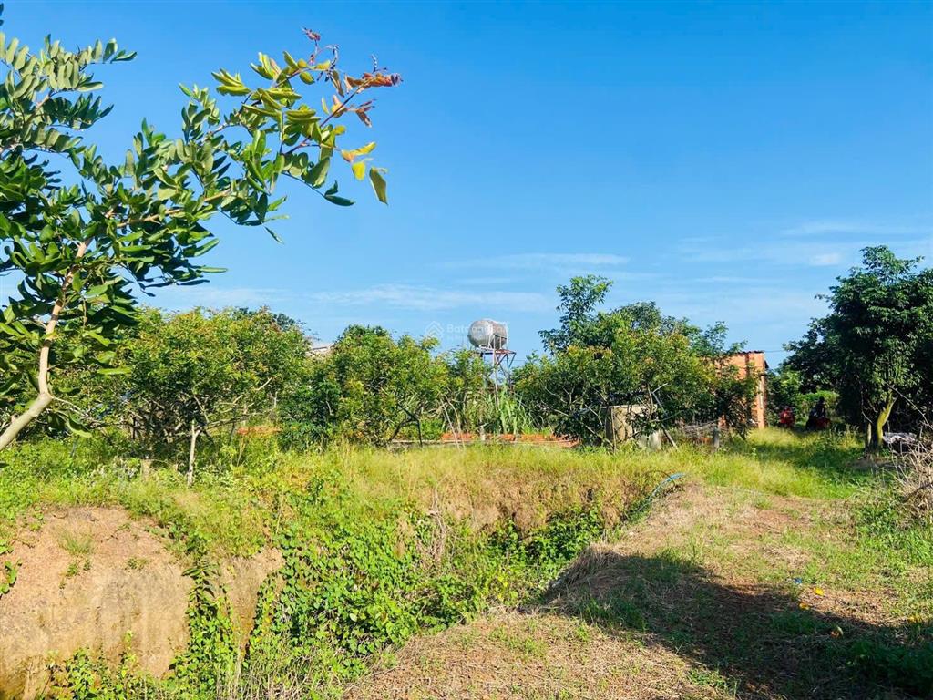 Bán đất nền 4200m2 tại hòa hội, xuyên mộc, bà rịa vũng tàu, giá chỉ 2,6 tỷ