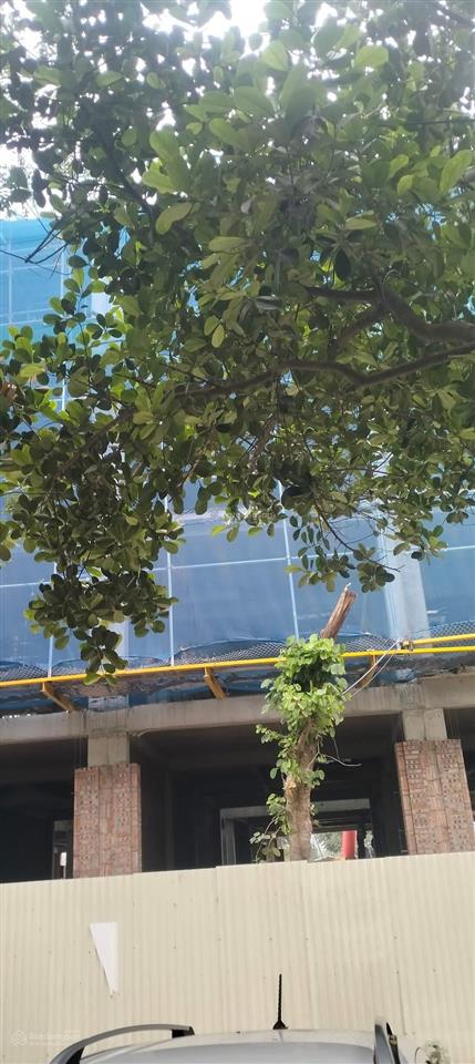 Mặt phố quảng bá, tây hồ. dt 268 m2 x 7t, mặt tiền 12 m2  view hồ chính diện, sđcc giá 350 tỷ.